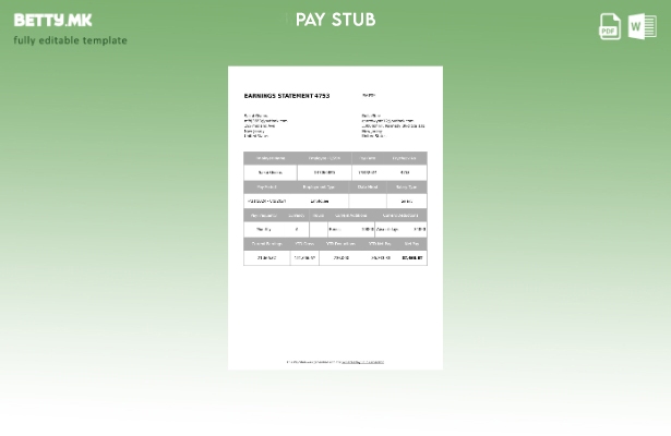 Модерен стил на шаблон за изјава за заработка DollarTree